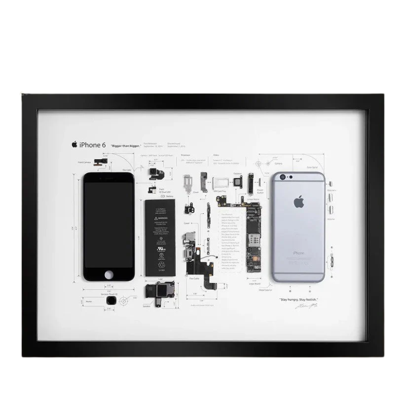 iPhone 6 Teardown Frame | Collectible Apple Tech Art